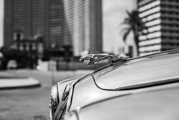 Wallacebet Kazino Android/iOS Lietotne